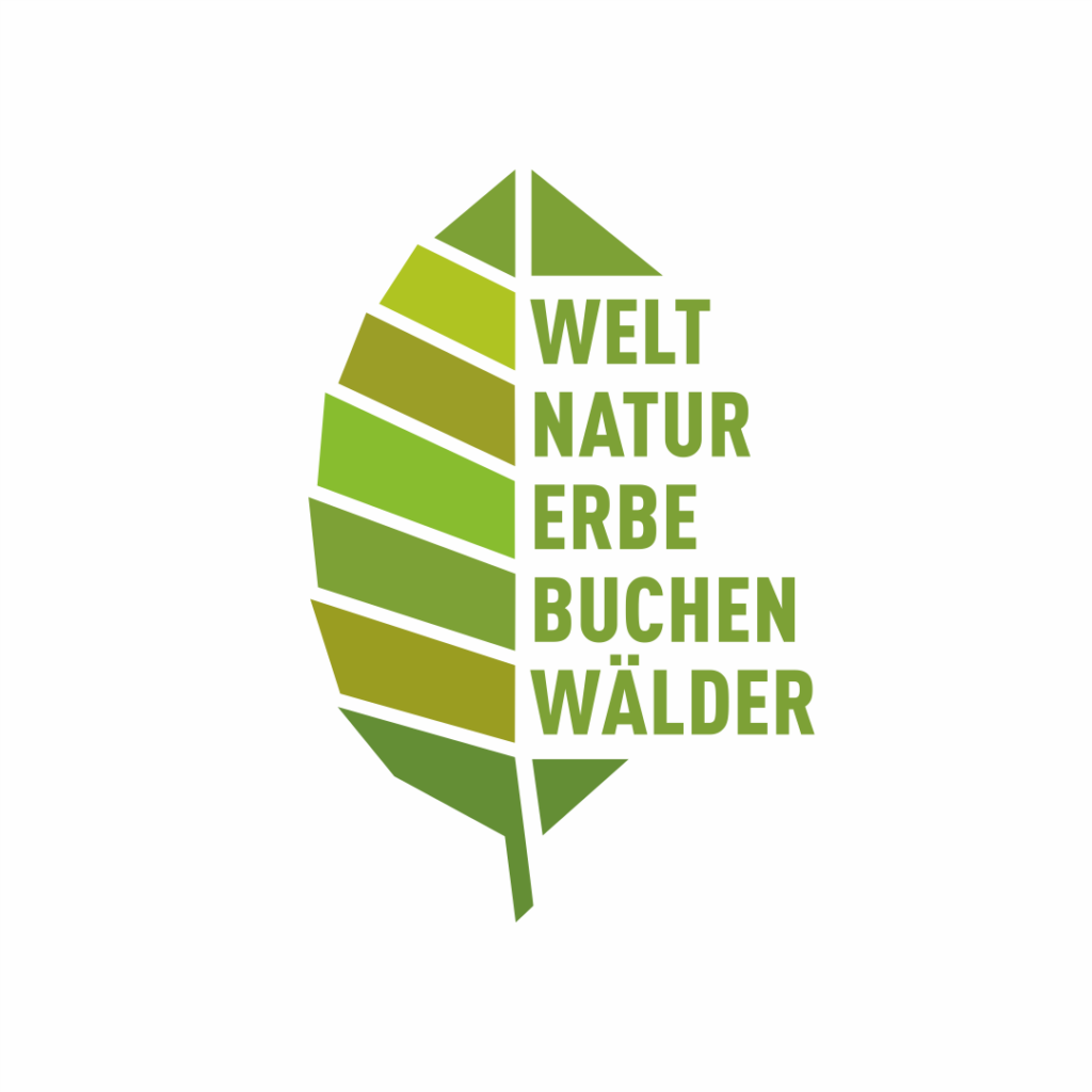 Logo Teilgebiet Buchenwald Grumsin des UNESCO Weltnaturerbe „Buchenurwälder der Karpaten und Alte Buchenwälder Deutschlands“