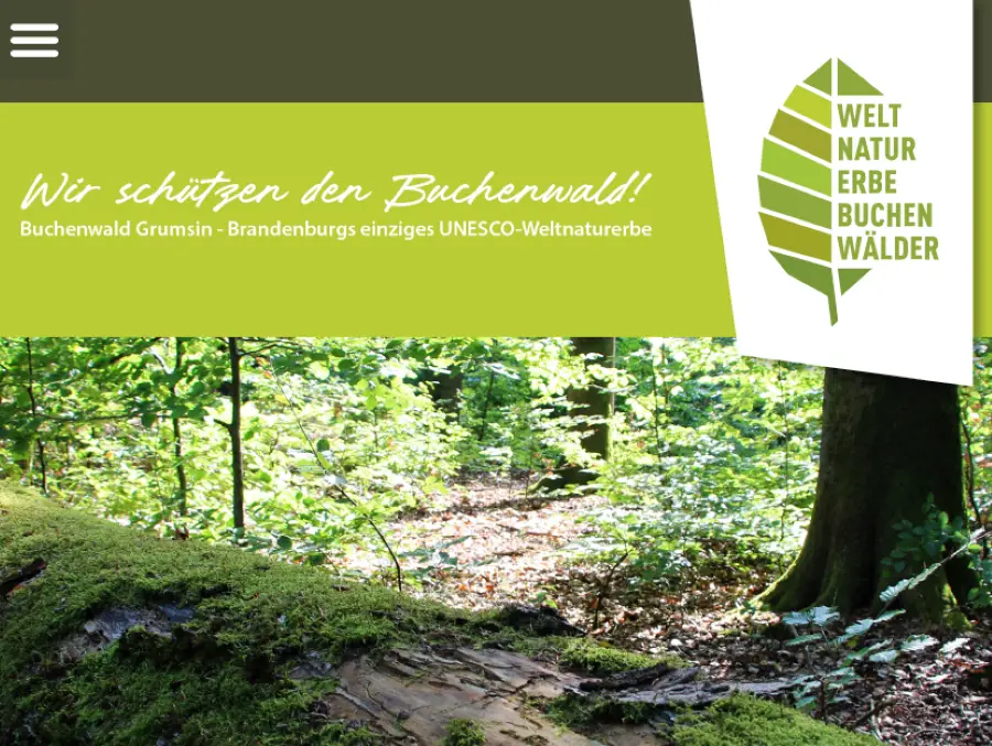 Startseite der neuen Webseite zum Weltnaturerbe Buchenwald Grumsin